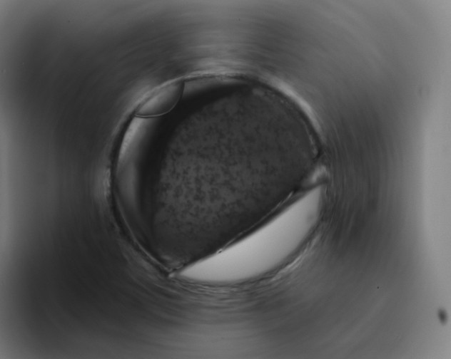 X0000094191459200711161738