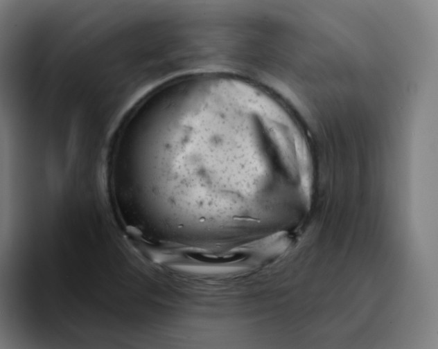 X0000094191460200711161738