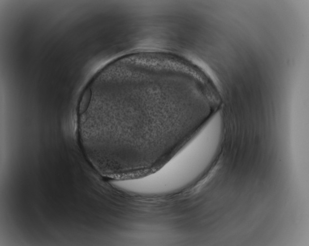 X0000094191461200711161738