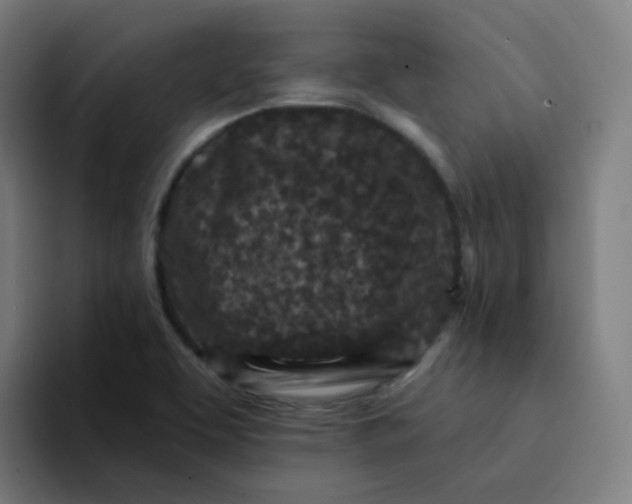 X0000094191463200711161738