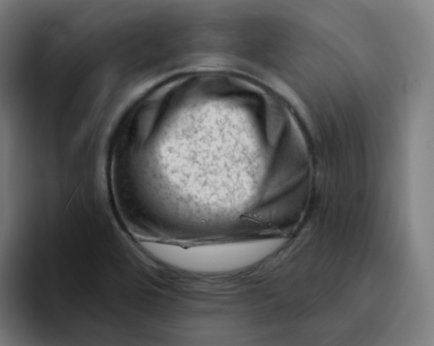 X0000094191464200711161738