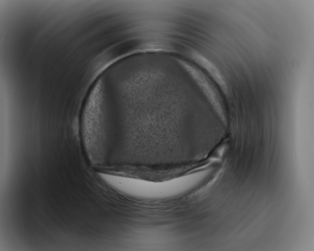 X0000094191465200711161738