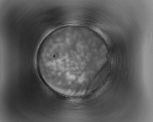 X0000094191466200711161738