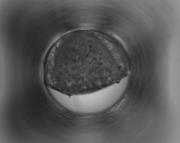 X0000094191467200711161738