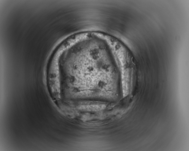 X0000094191468200711161738