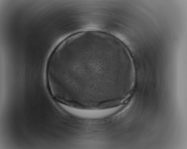 X0000094191469200711161738