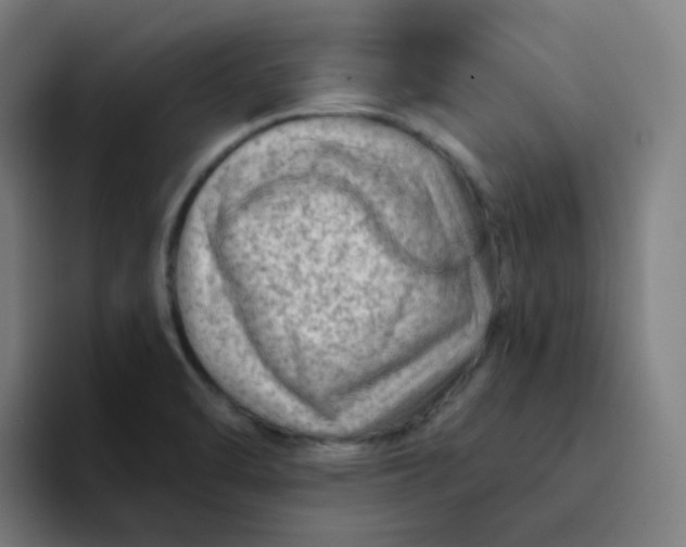 X0000094191470200711161738