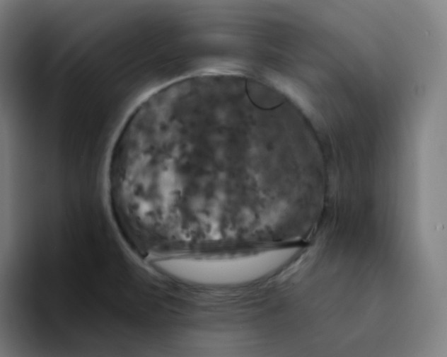 X0000094191471200711161738