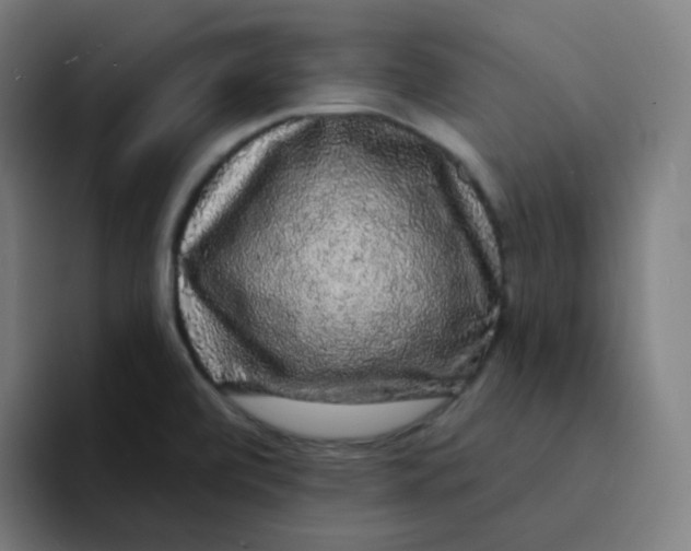 X0000094191472200711161738