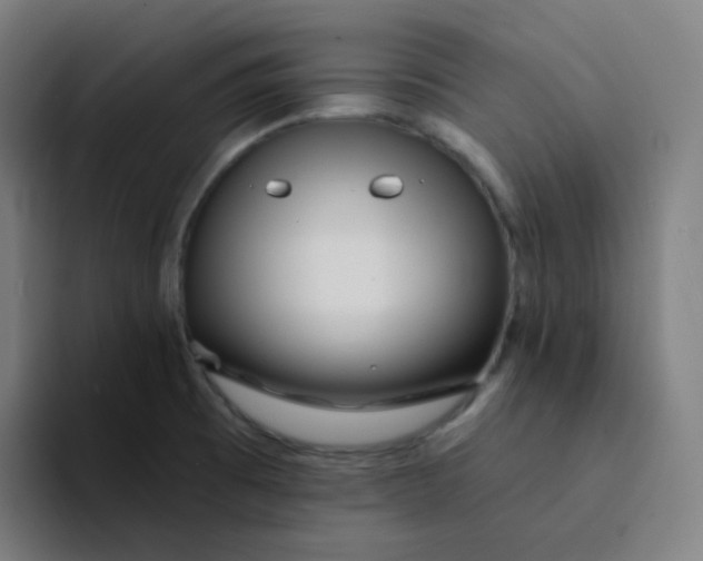 X0000094191473200711161738