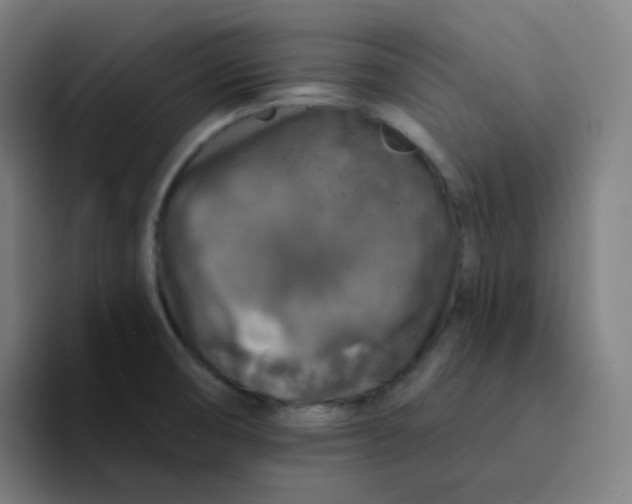 X0000094191474200711161738