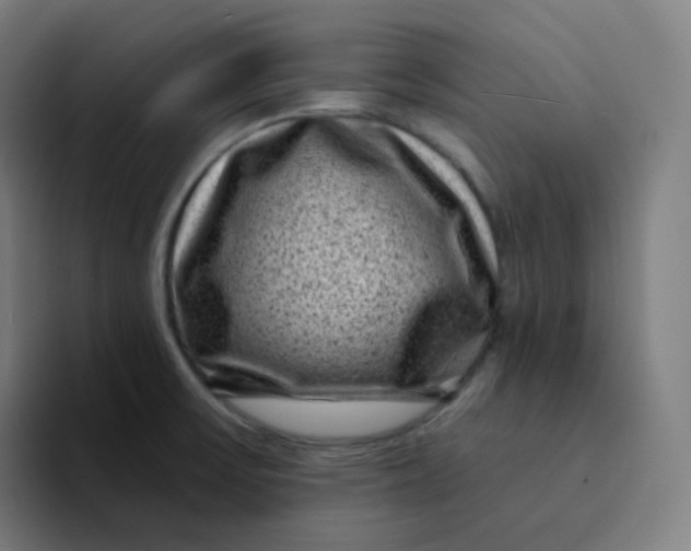 X0000094191475200711161738