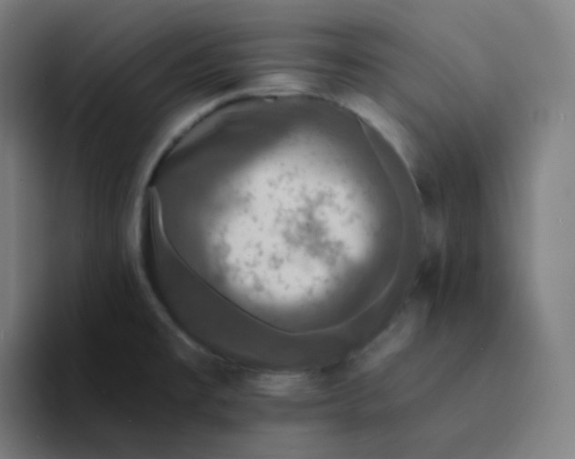 X0000094191477200711161738