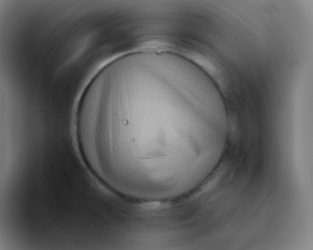 X0000094191478200711161738