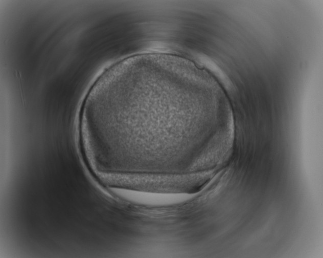 X0000094191479200711161738