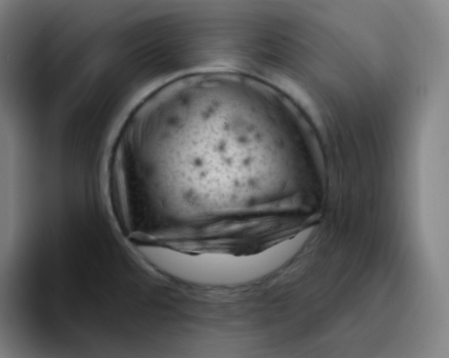 X0000094191480200711161738