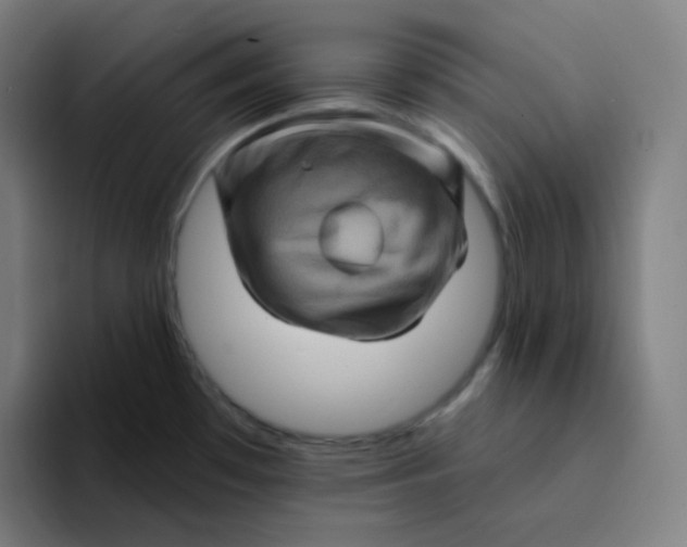 X0000094191481200711161738