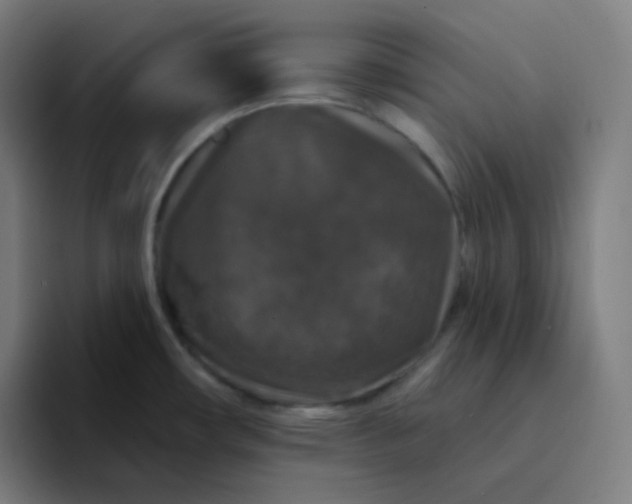 X0000094191482200711161738