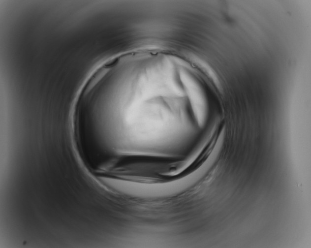 X0000094191483200711161738