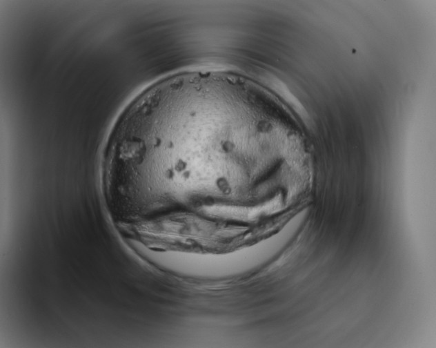 X0000094191484200711161738