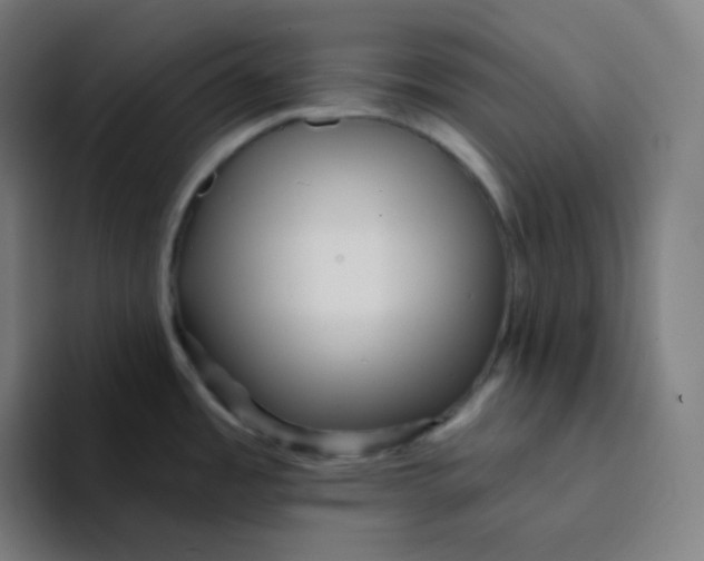 X0000094191485200711161738