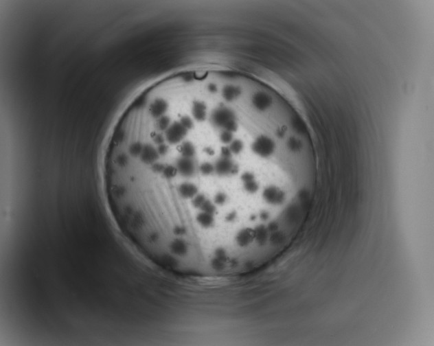 X0000094191488200711161738