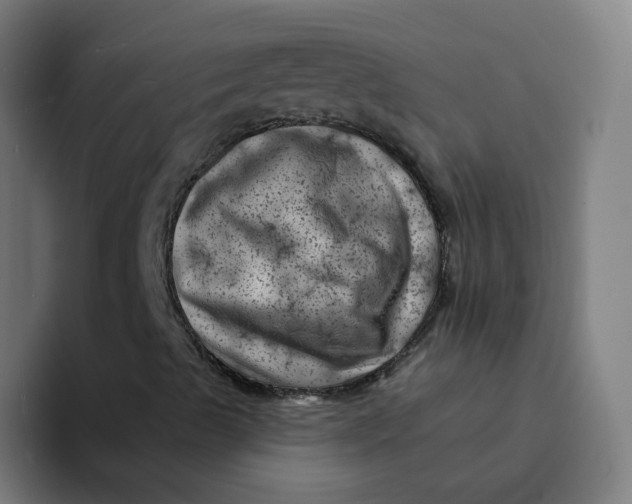 X0000094191489200711161737