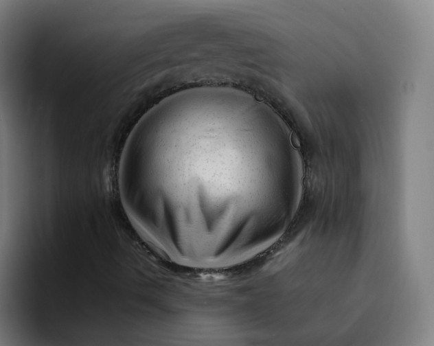 X0000094191490200711161737