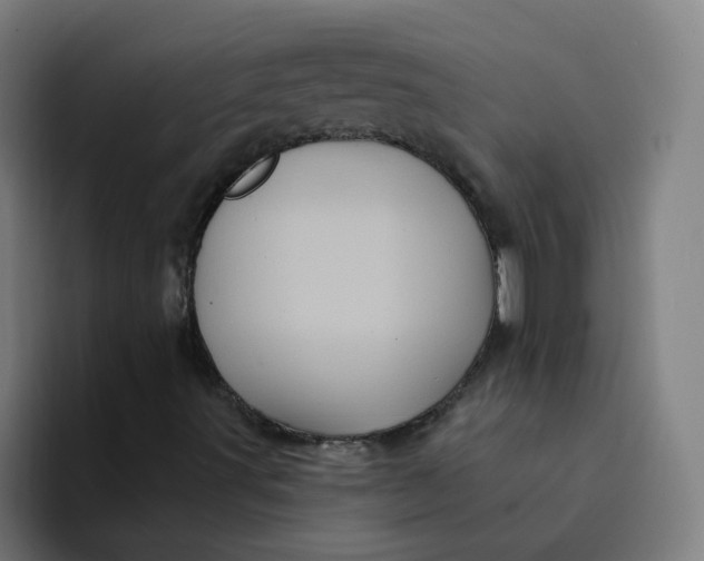 X0000094191491200711161737