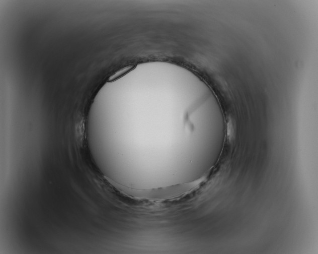 X0000094191492200711161737