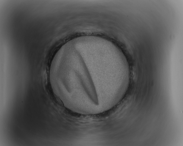 X0000094191493200711161737