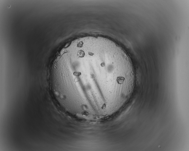 X0000094191494200711161737