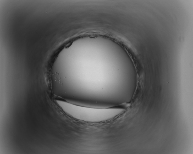 X0000094191496200711161737