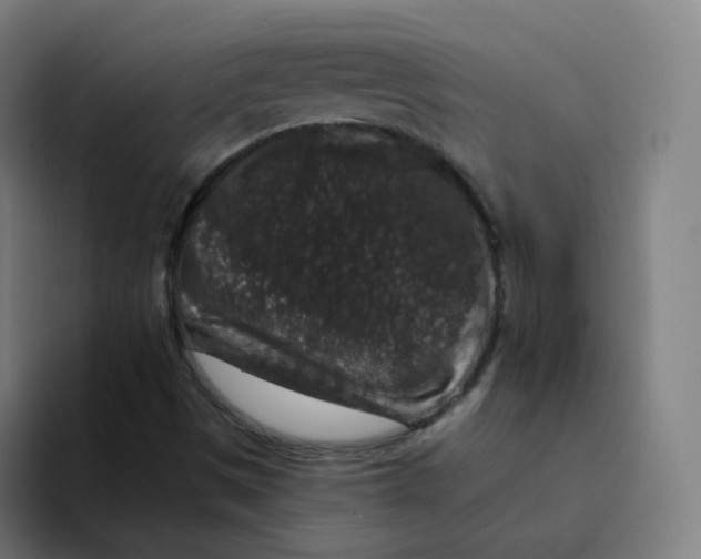 X0000094191497200711161737