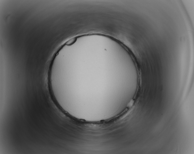 X0000094191500200711161737