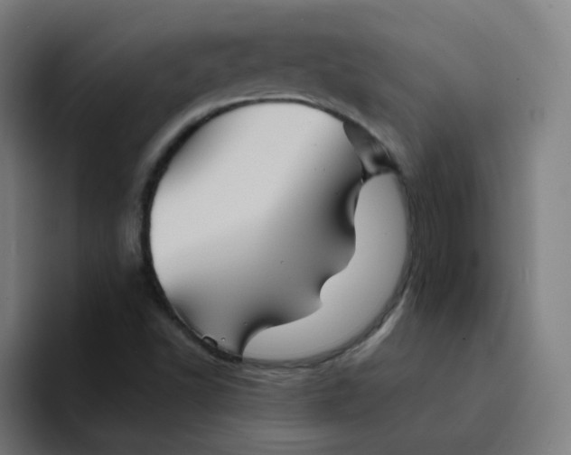 X0000094191502200711161737