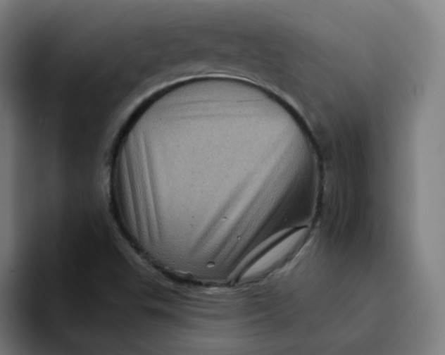 X0000094191503200711161737