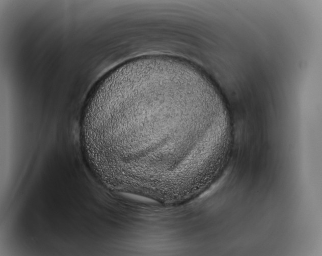 X0000094191505200711161737