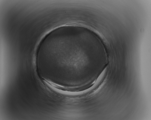 X0000094191506200711161737