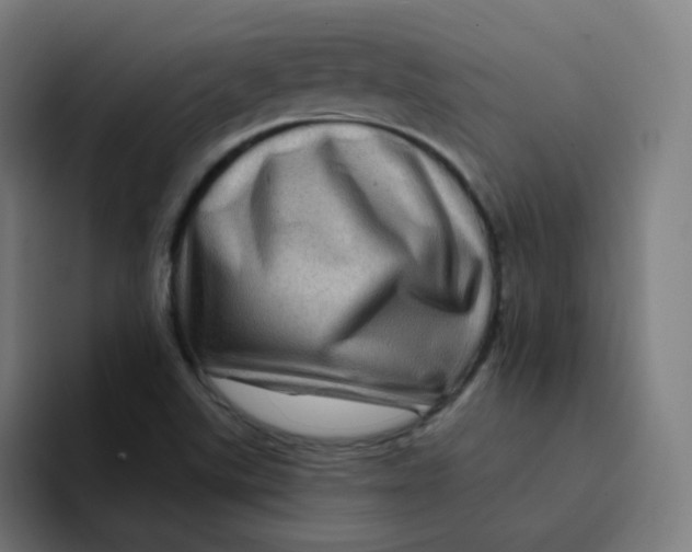 X0000094191507200711161737