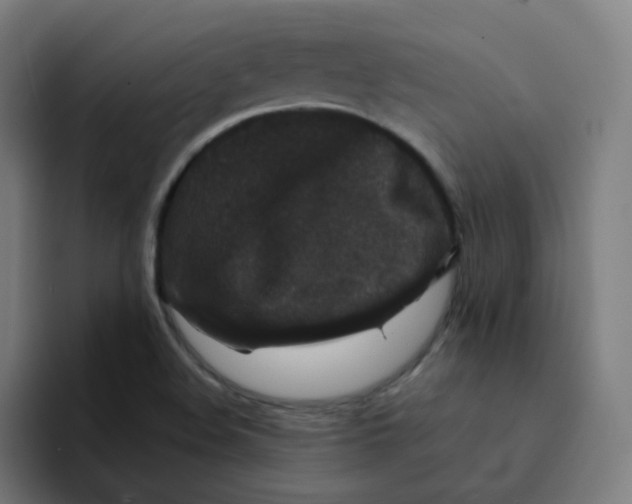 X0000094191508200711161737