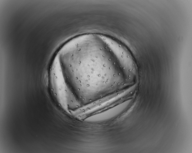 X0000094191509200711161737