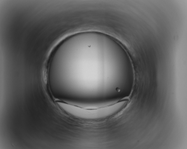 X0000094191510200711161737