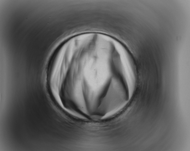 X0000094191511200711161737