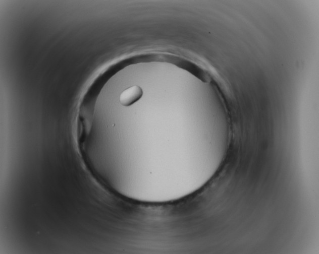 X0000094191512200711161737