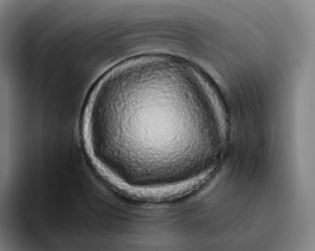 X0000094191513200711161737