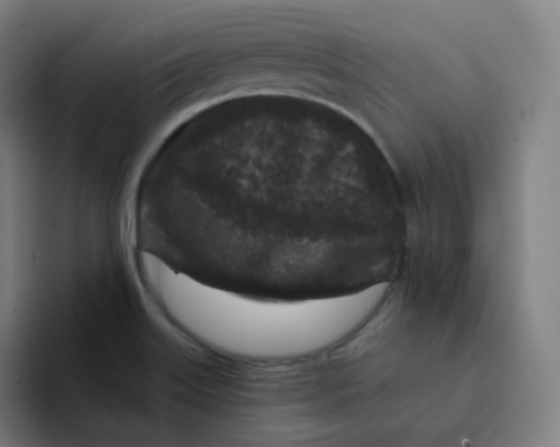 X0000094191515200711161738