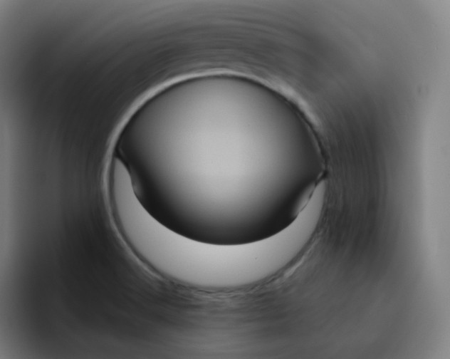 X0000094191516200711161738