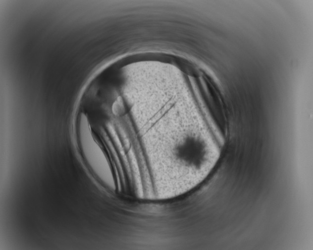 X0000094191517200711161738