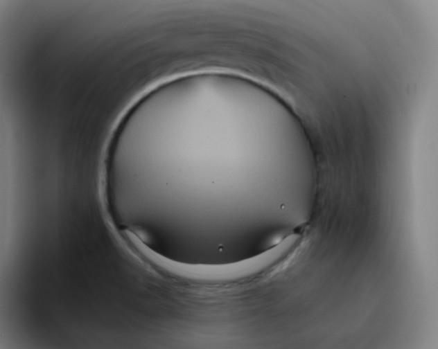 X0000094191518200711161738